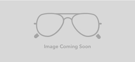 TM0019S Sunglasses - Tomas Maier Authorized Retailer | coolframes