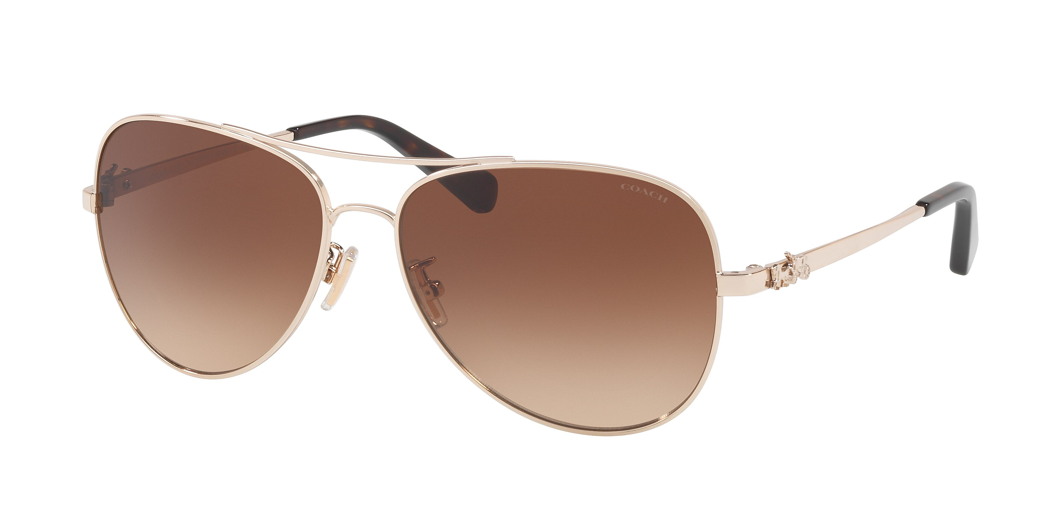 HC7074 L1648 Sunglasses - Coach Authorized Retailer 