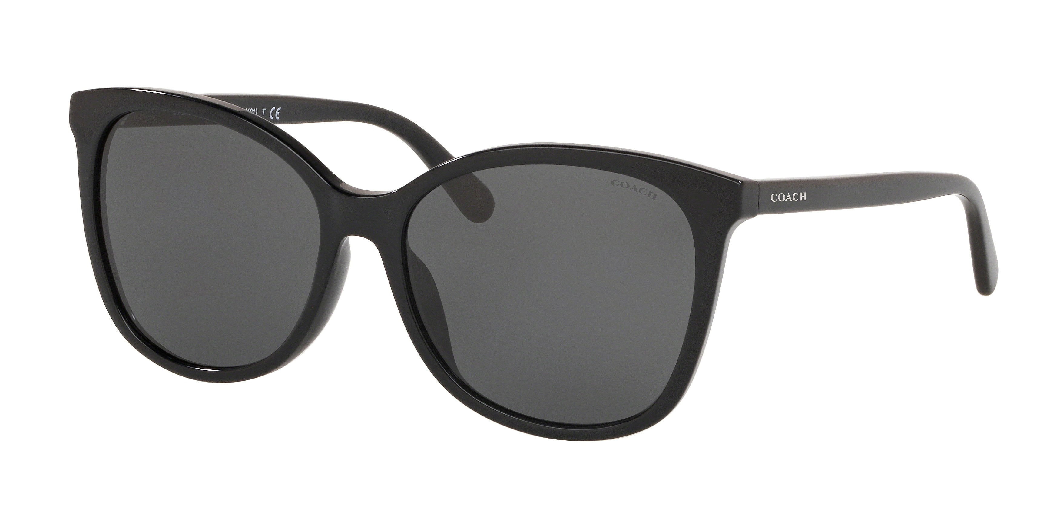HC8166 L154 Sunglasses - Coach Authorized Retailer  display picture 1