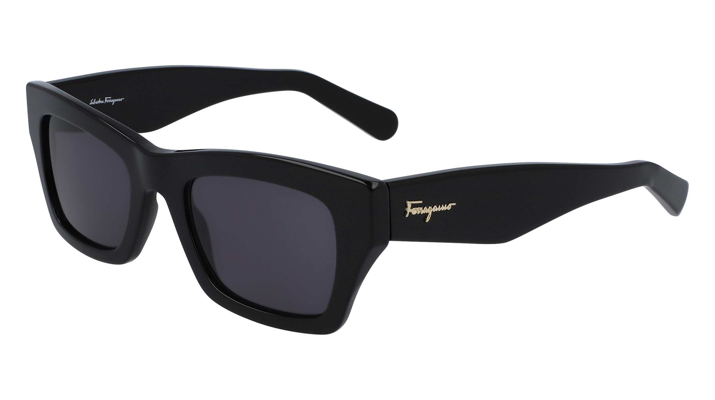 Salvatore Ferragamo Black Sunglasses Full Inclusion SF1058S Eyeglasses Frames by Salvatore Ferragamo main image 4