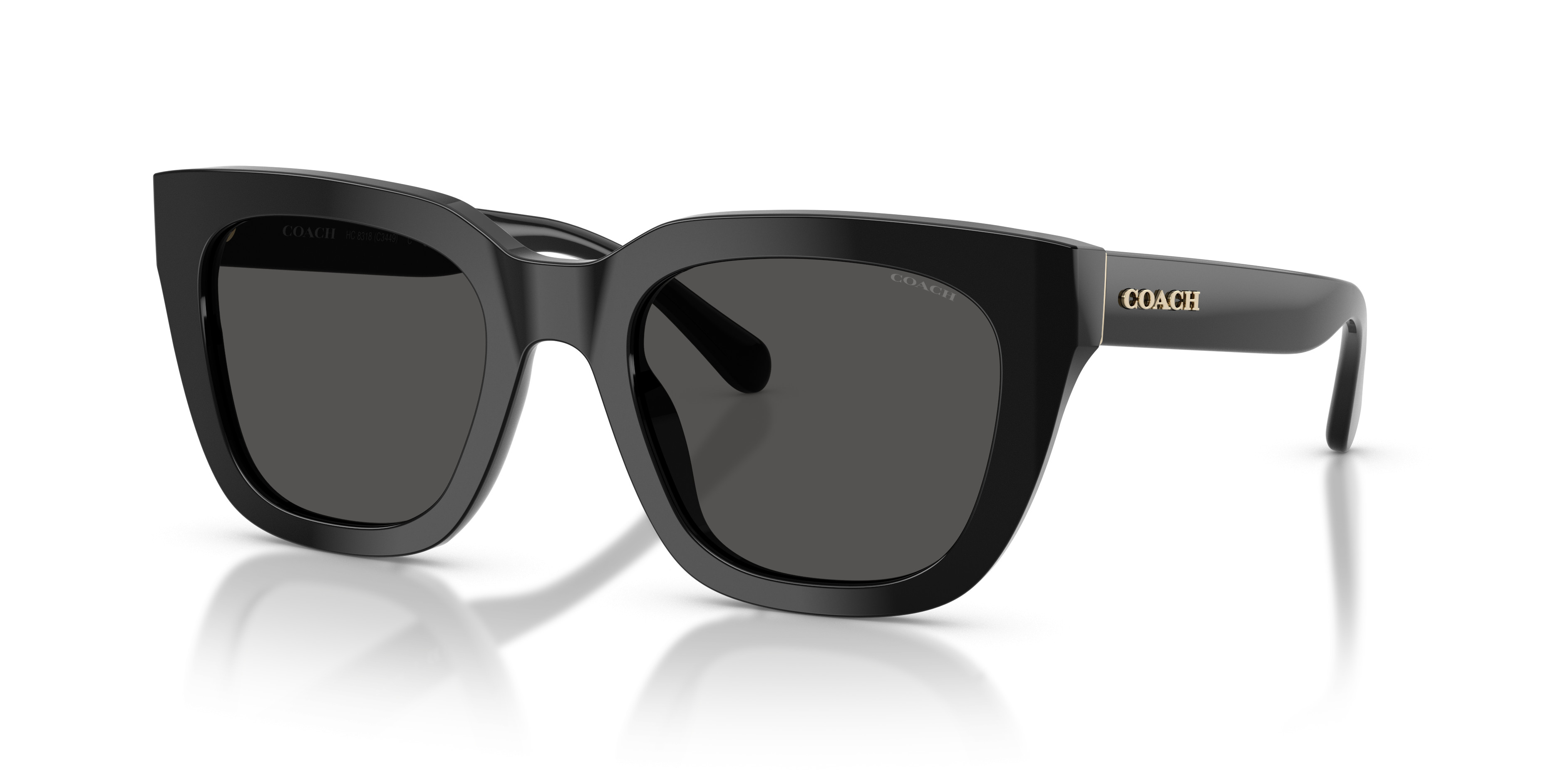 HC8318 C3449 Sunglasses - Coach Authorized Retailer  display picture 1