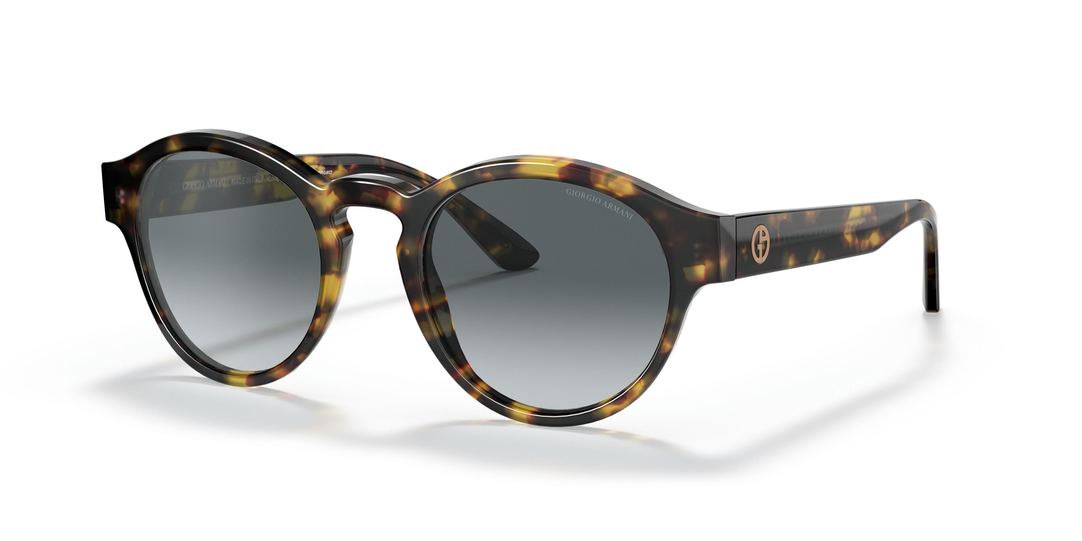AR6050 Sunglasses - Giorgio Armani Authorized Retailer 