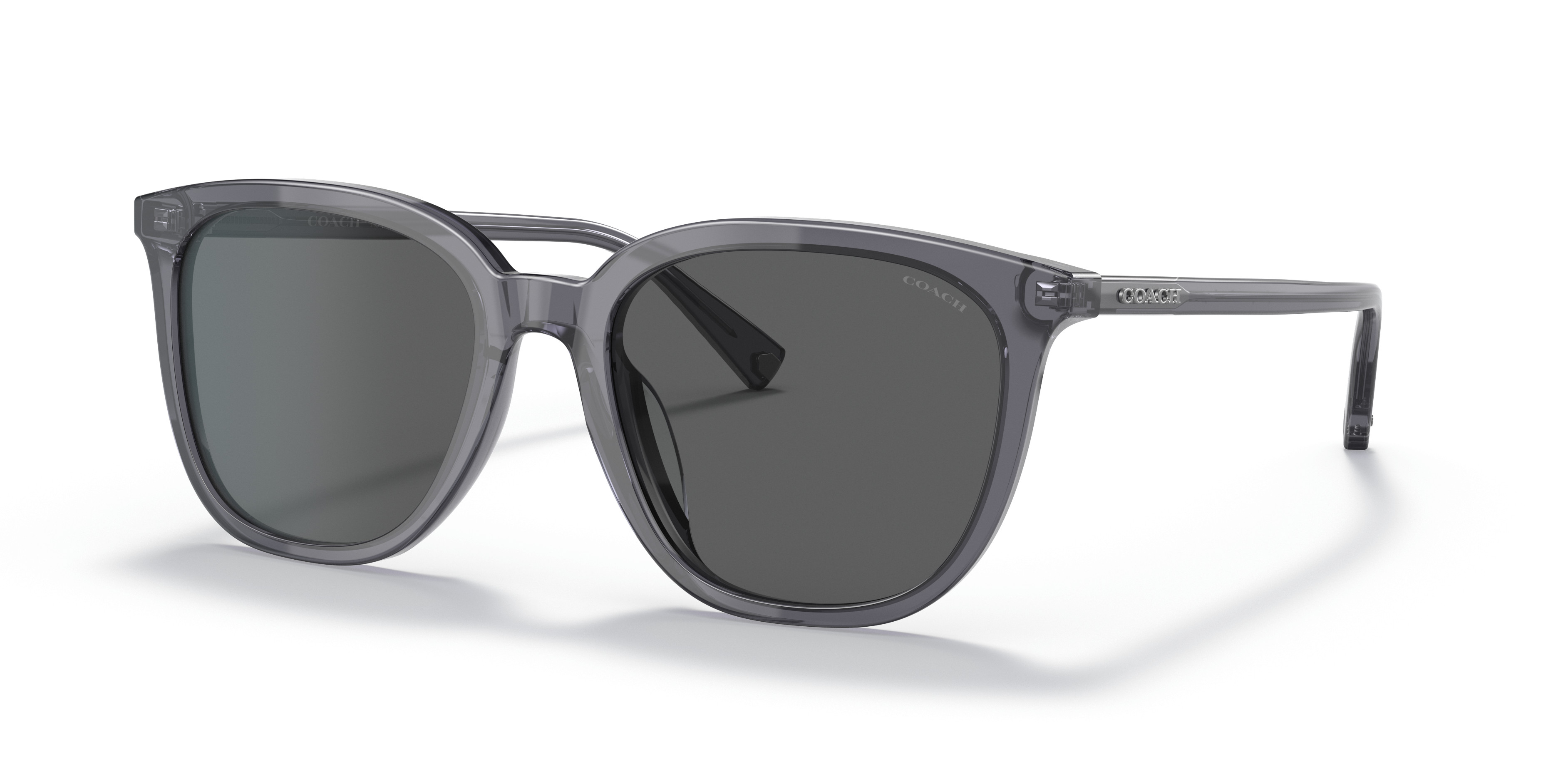 HC7137 CA576 Sunglasses - Coach Authorized Retailer | coolframes