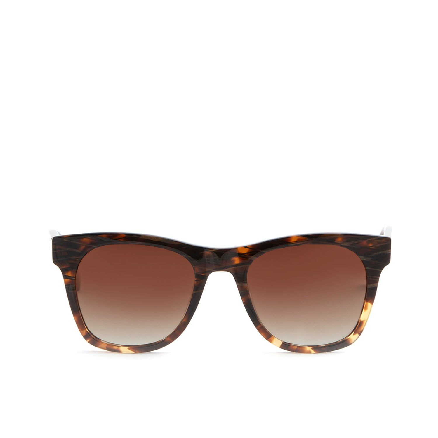 DV0100 Sunglasses (DV0100) - Di Valdi Authorized Retailer 