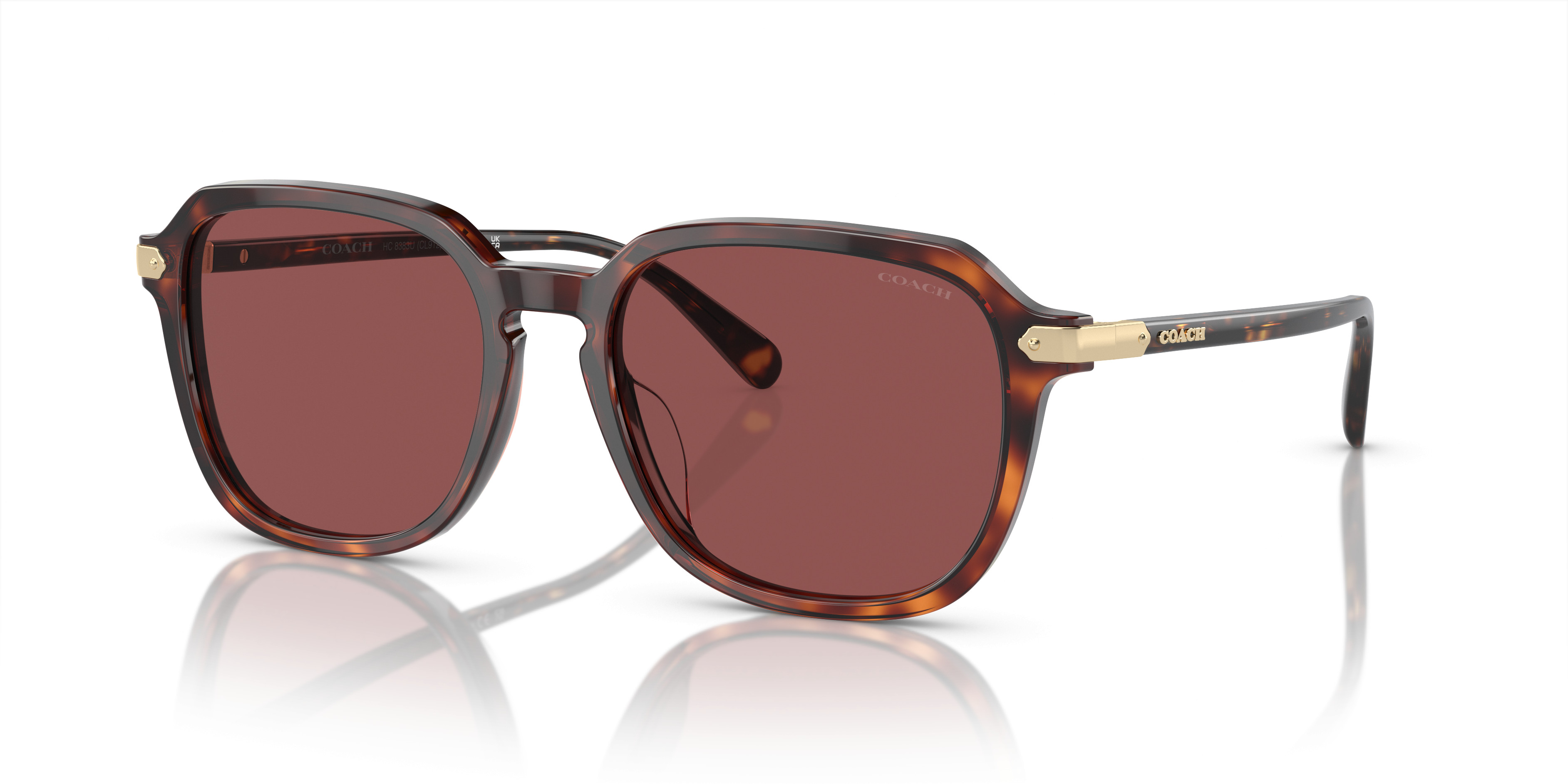HC8287 L1126 Sunglasses - Coach Authorized Retailer | coolframes