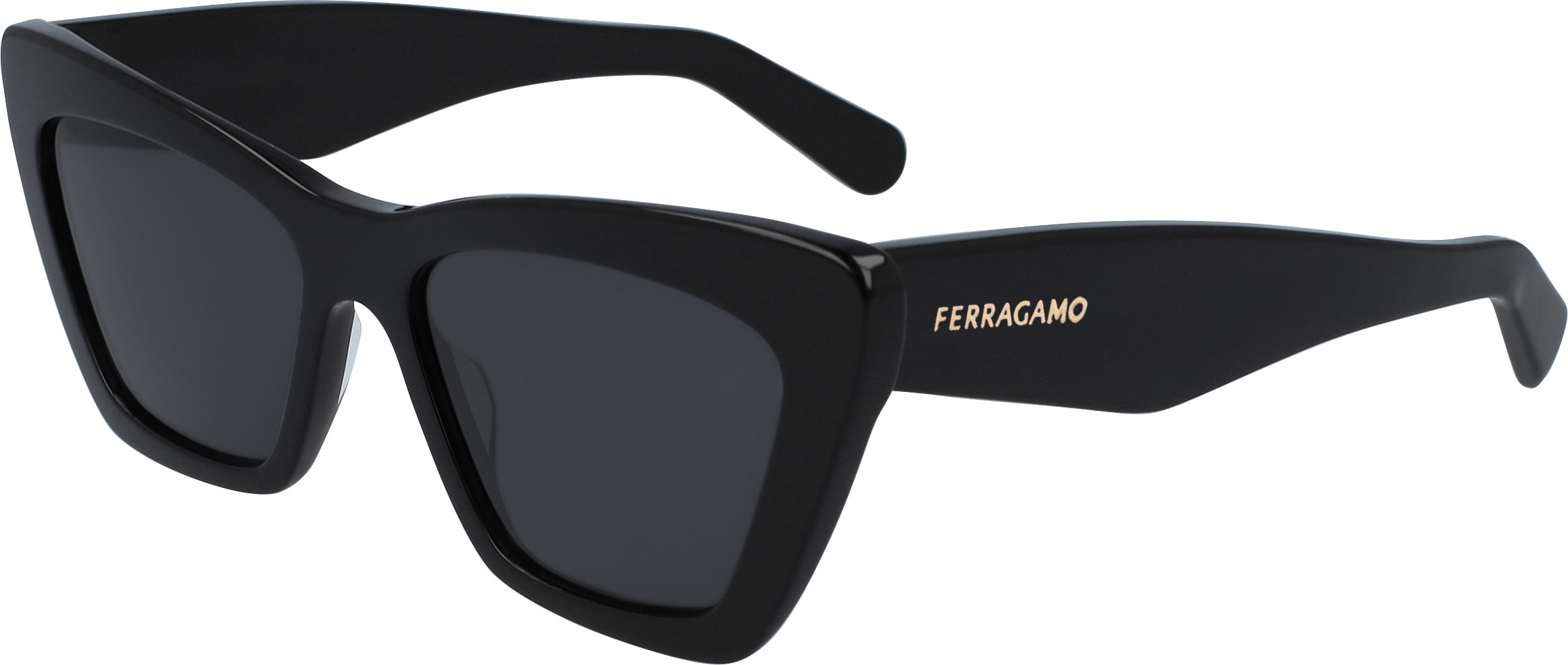 FERRAGAMO サングラス SF885SA-214 トートイズ/ブラック FERRAGAMO - FERRAGAMO サングラス SF885SA-214 トートイズ/ブラックの