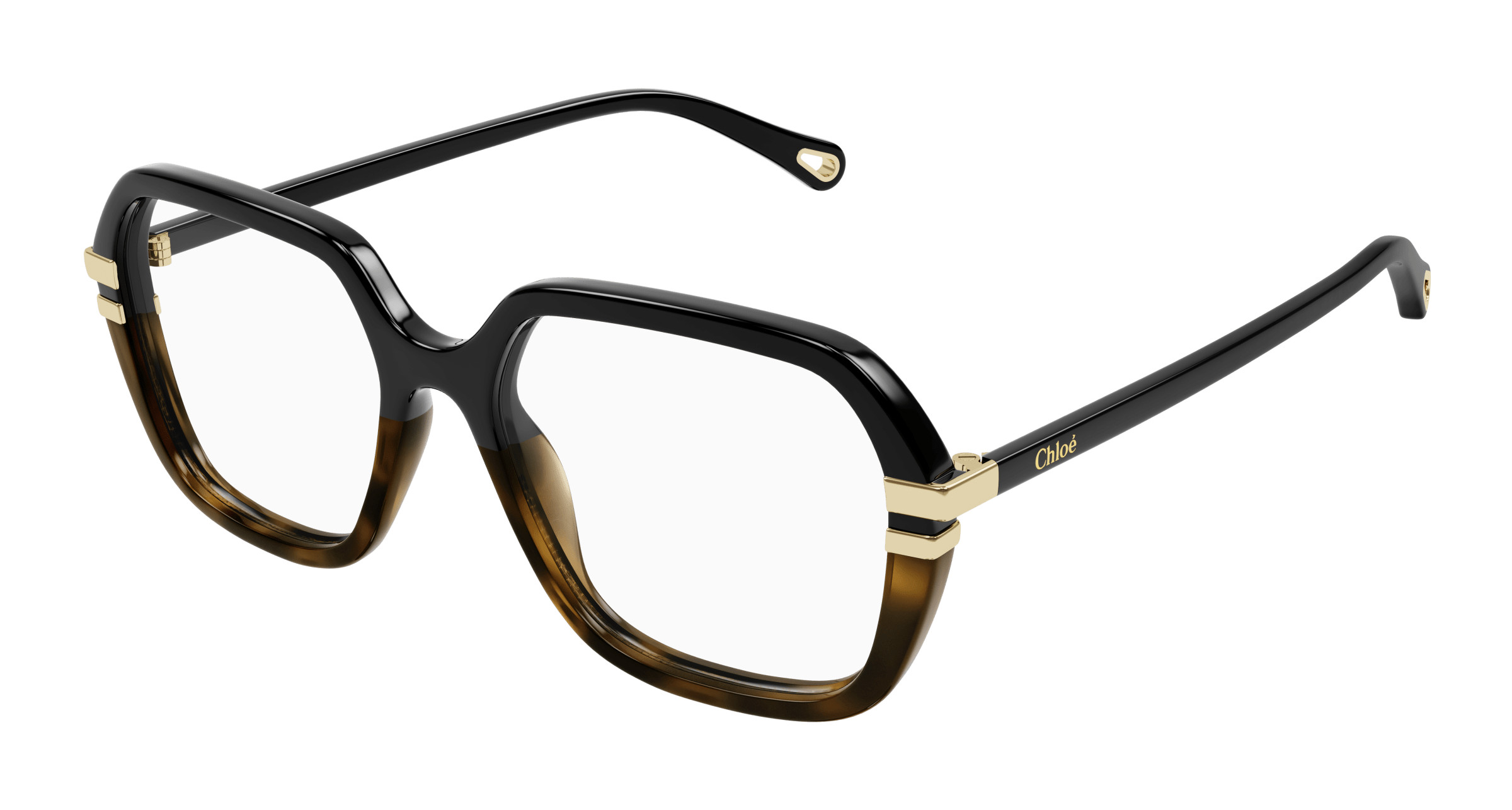 Chloe CH0247OA Eyeglasses 002 - Havana - Transparent For Women 54-18-145 CH0247OA Eyeglasses - Chloé Authorized Retailer | coolframes  main image 4