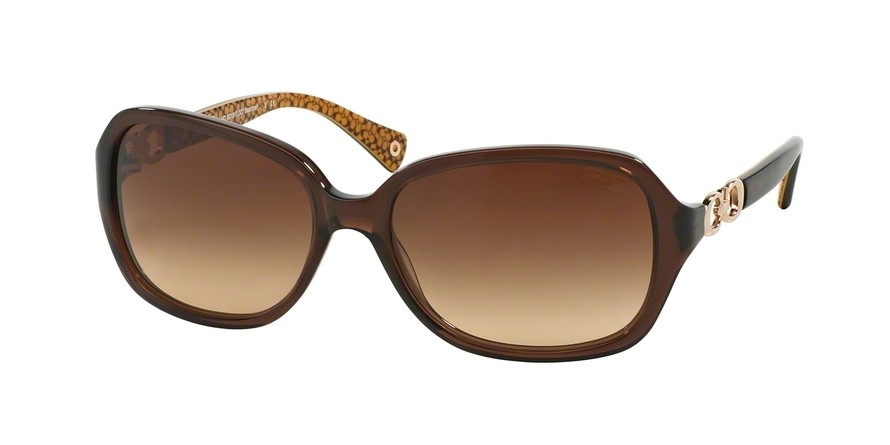 HC8019 BEATRICE Sunglasses - Coach Authorized Retailer  display picture 1