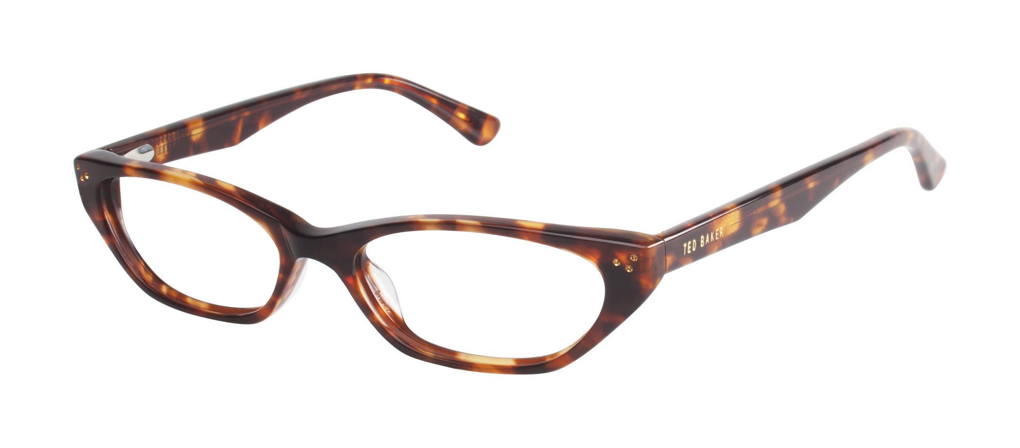 B717 Eyeglasses - Ted Baker Authorized Retailer | coolframes  display picture 3