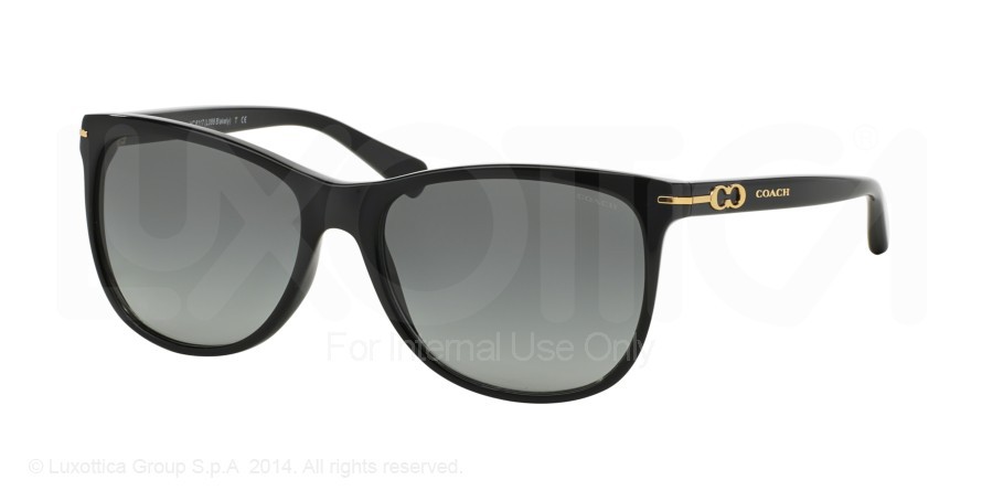 Coach Blakely Sunglasses Coach HC8117F L588 Blakely Sunglasses | HC 8117F | Price: $98.95 main image 2