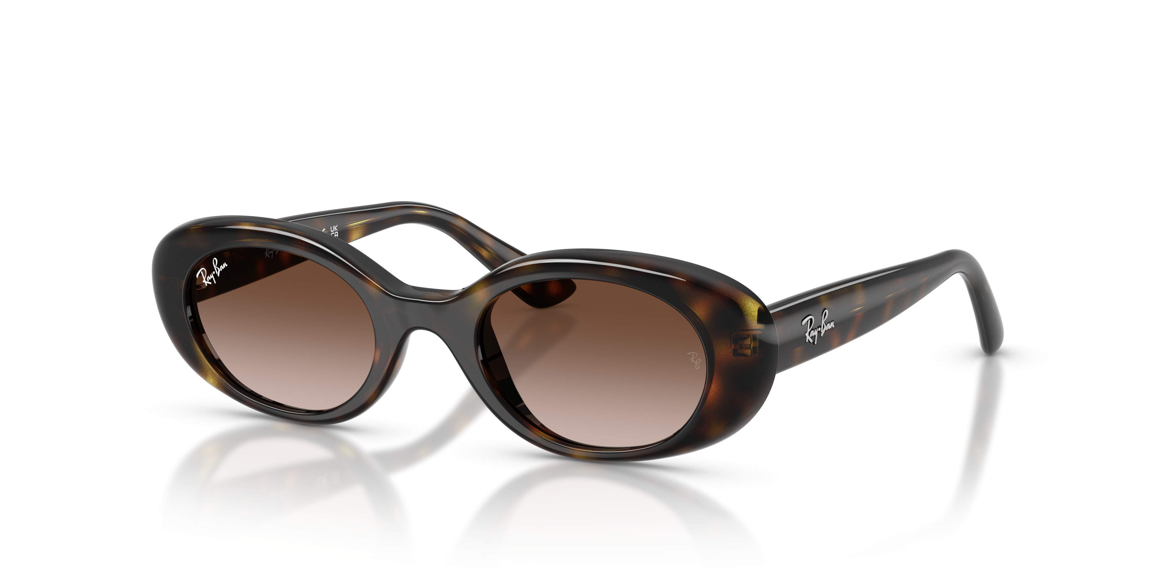 Ray-Ban Round Sunglasses in Tortoise and Black Ray-ban Zuri RB4455F - Eyecare Associates main image 3