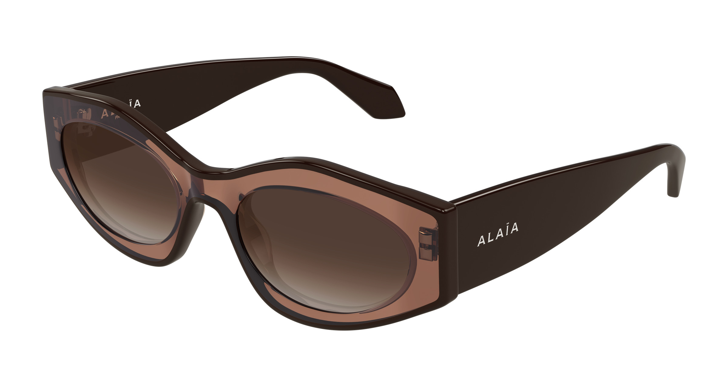 AA0093S Sunglasses - Azzedine Alaïa Authorized Retailer