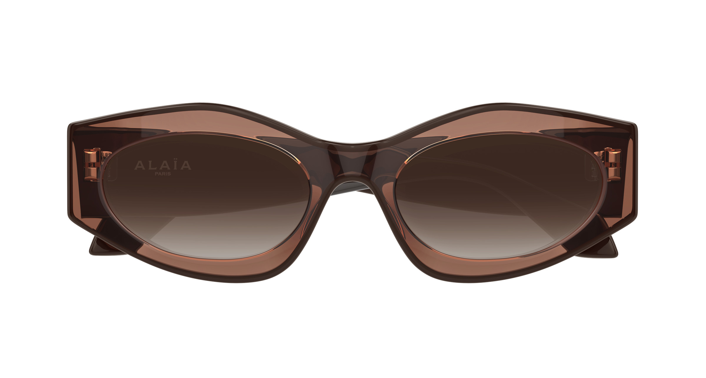 AA0093S Sunglasses - Azzedine Alaïa Authorized Retailer