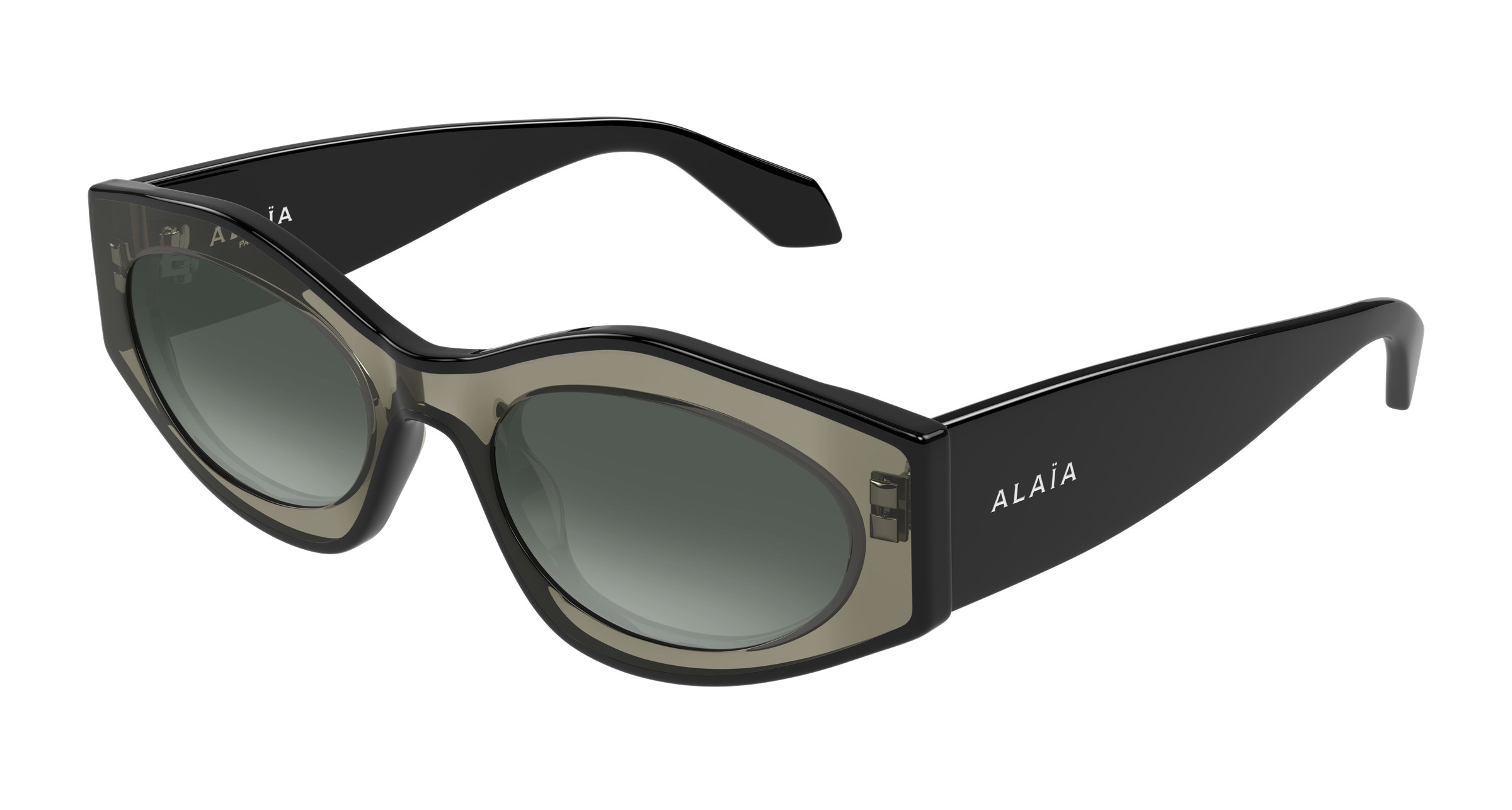 AA0093S Sunglasses - Azzedine Alaïa Authorized Retailer  display picture 2