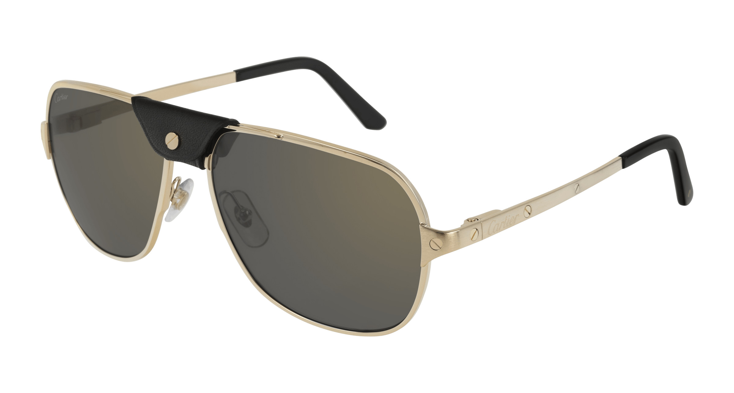 CT0165S Sunglasses - Cartier Authorized Retailer | coolframes.com