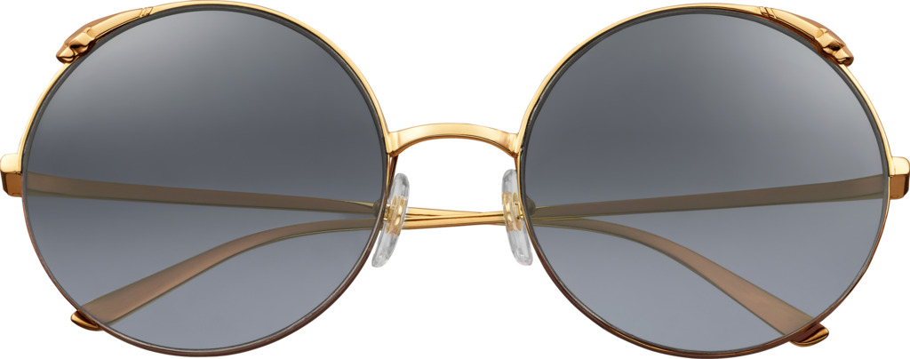 CT0149S Sunglasses - Cartier Authorized Retailer  display picture 2