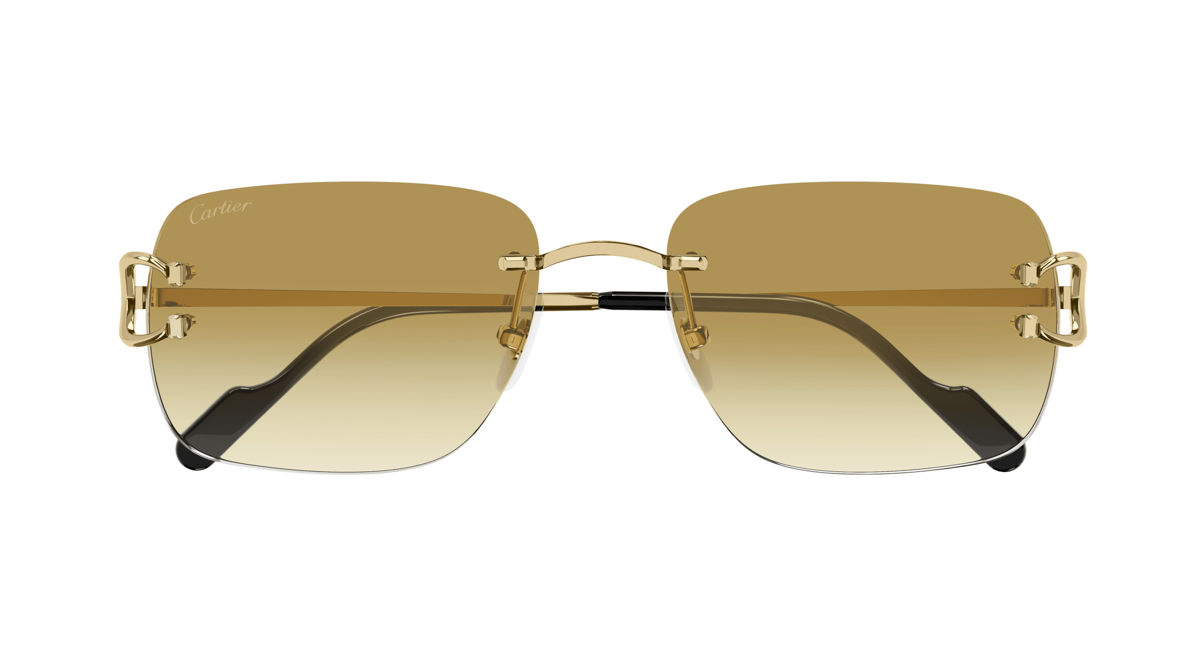 CT0330S Sunglasses - Cartier Authorized Retailer | coolframes.com