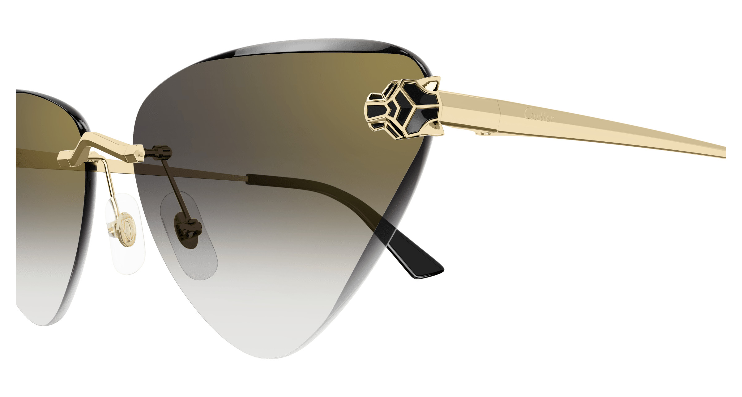 CT0399S Sunglasses - Cartier Authorized Retailer | coolframes.com