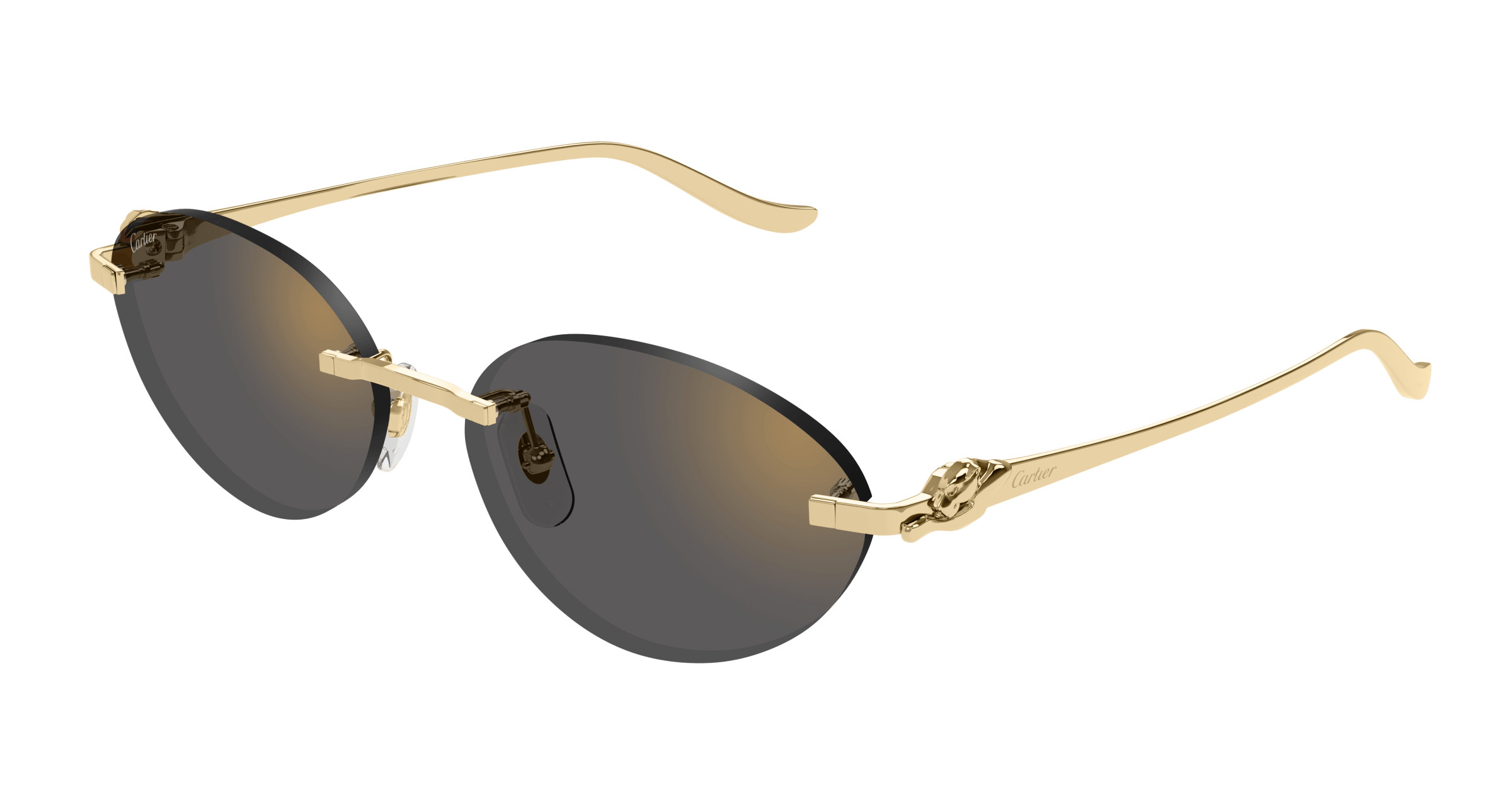 CT0504S Sunglasses - Cartier Authorized Retailer  display picture 1