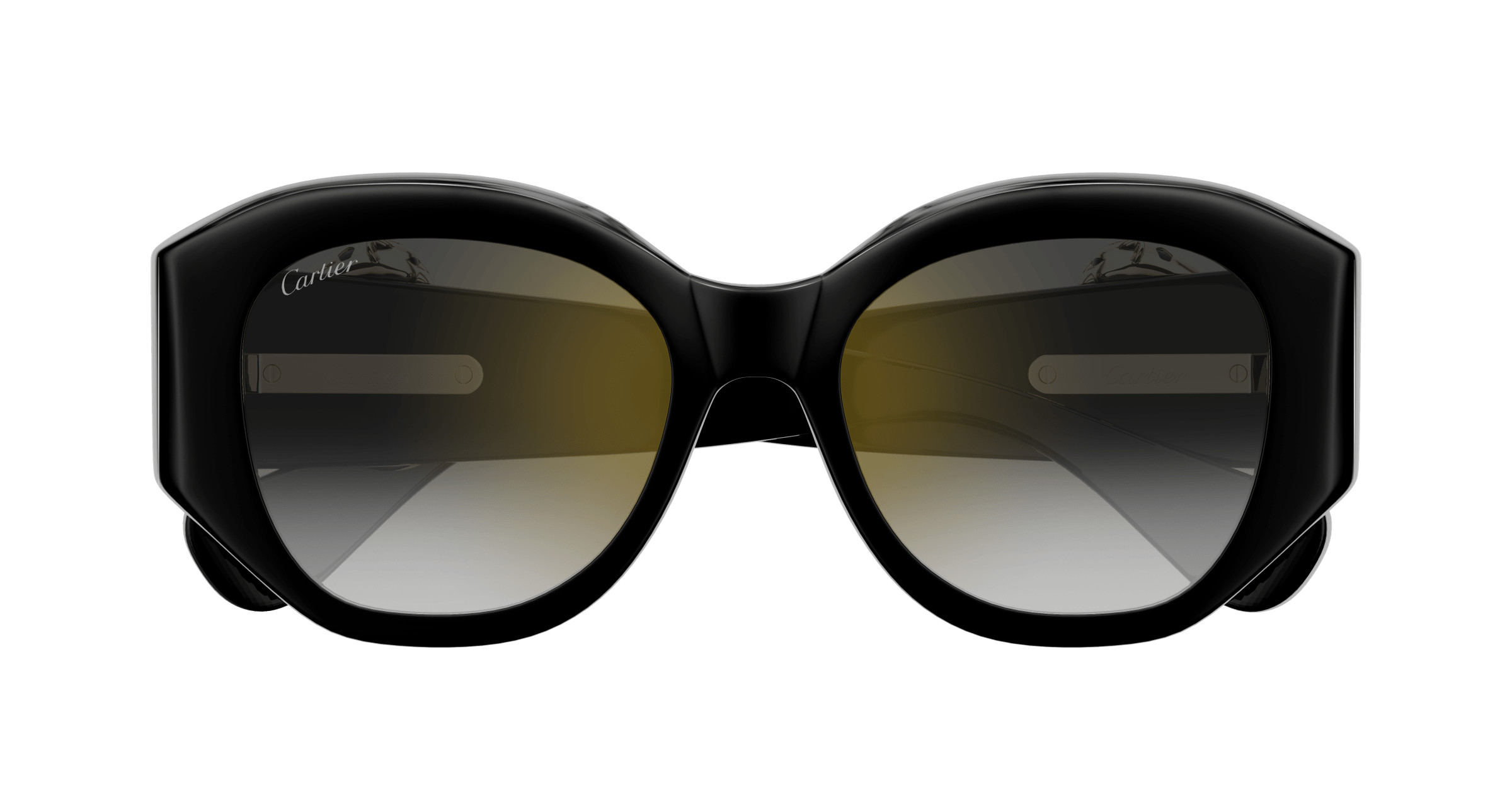 CT0502S Sunglasses - Cartier Authorized Retailer  display picture 2