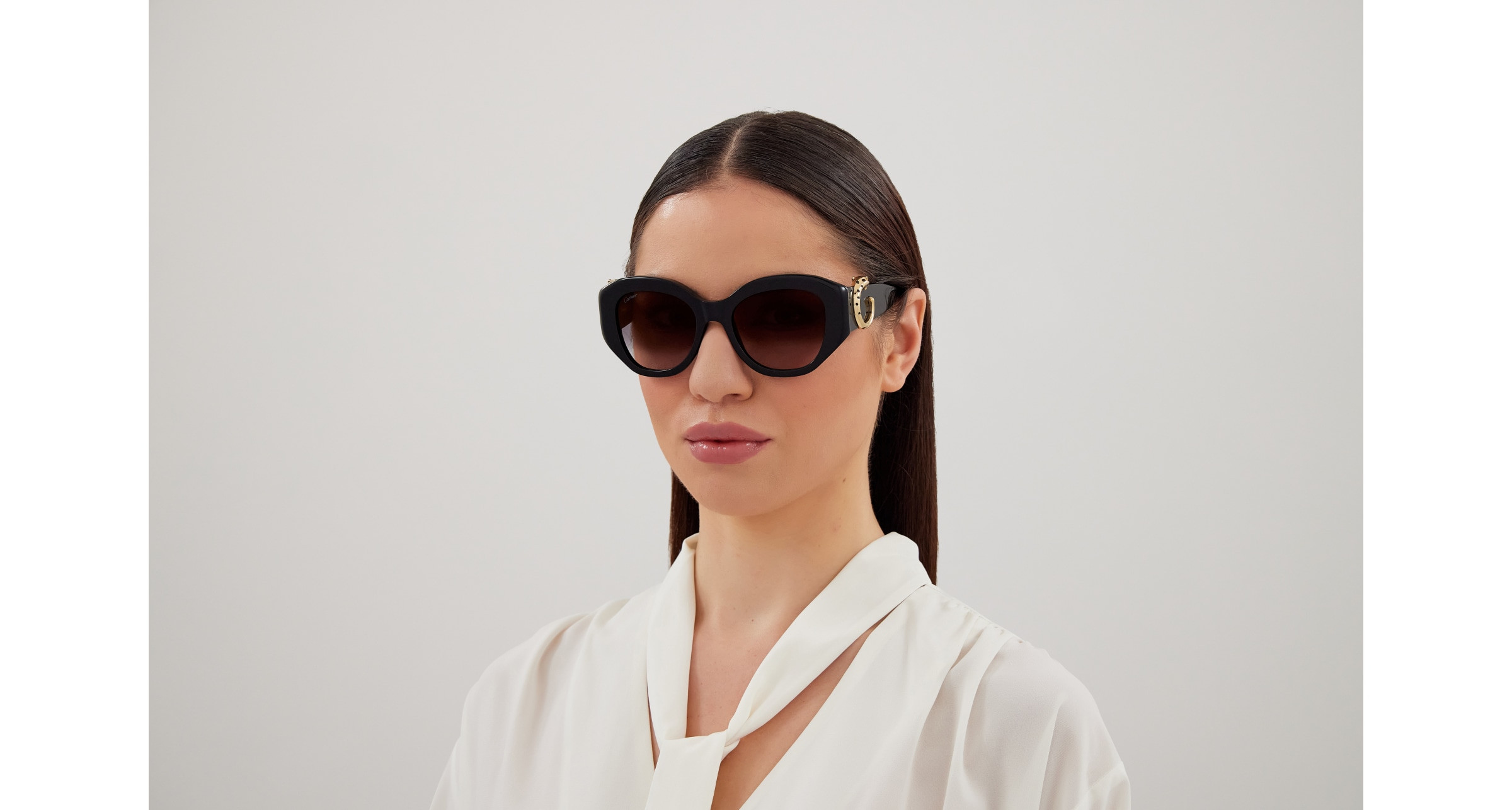 CT0502S Sunglasses - Cartier Authorized Retailer  display picture 1