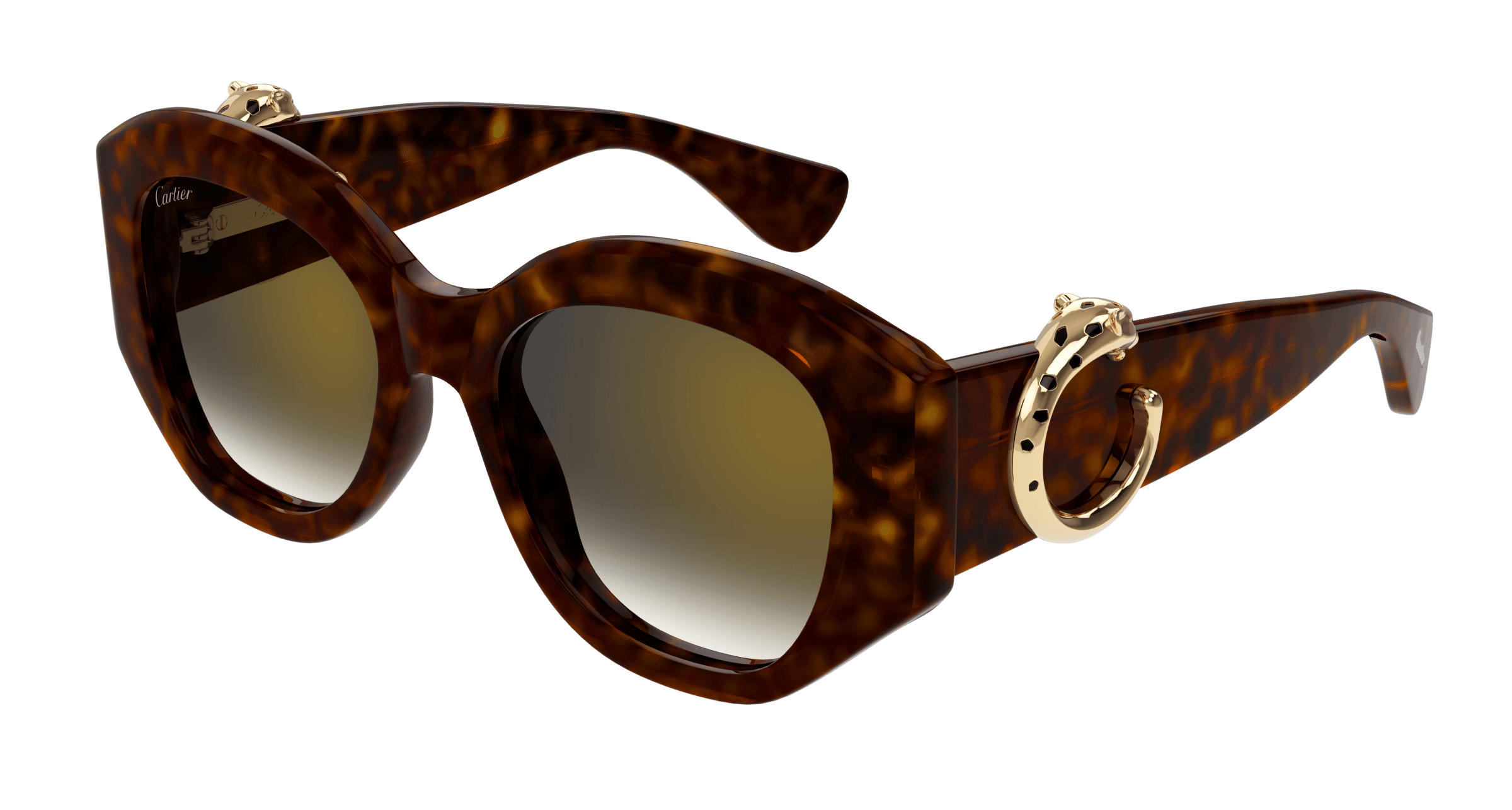 CT0502S Sunglasses - Cartier Authorized Retailer  display picture 1