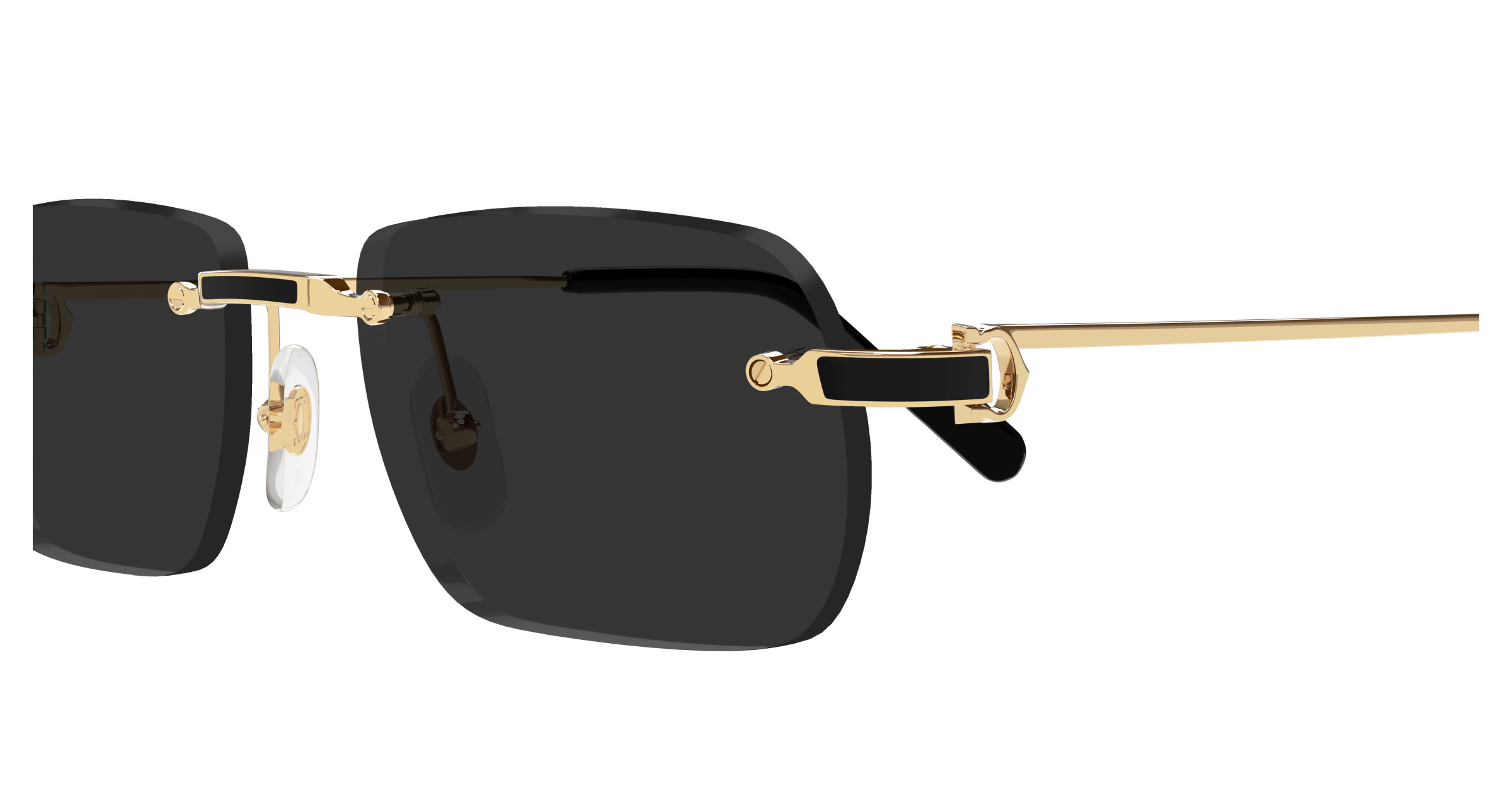 CT0498S Sunglasses - Cartier Authorized Retailer | coolframes.com