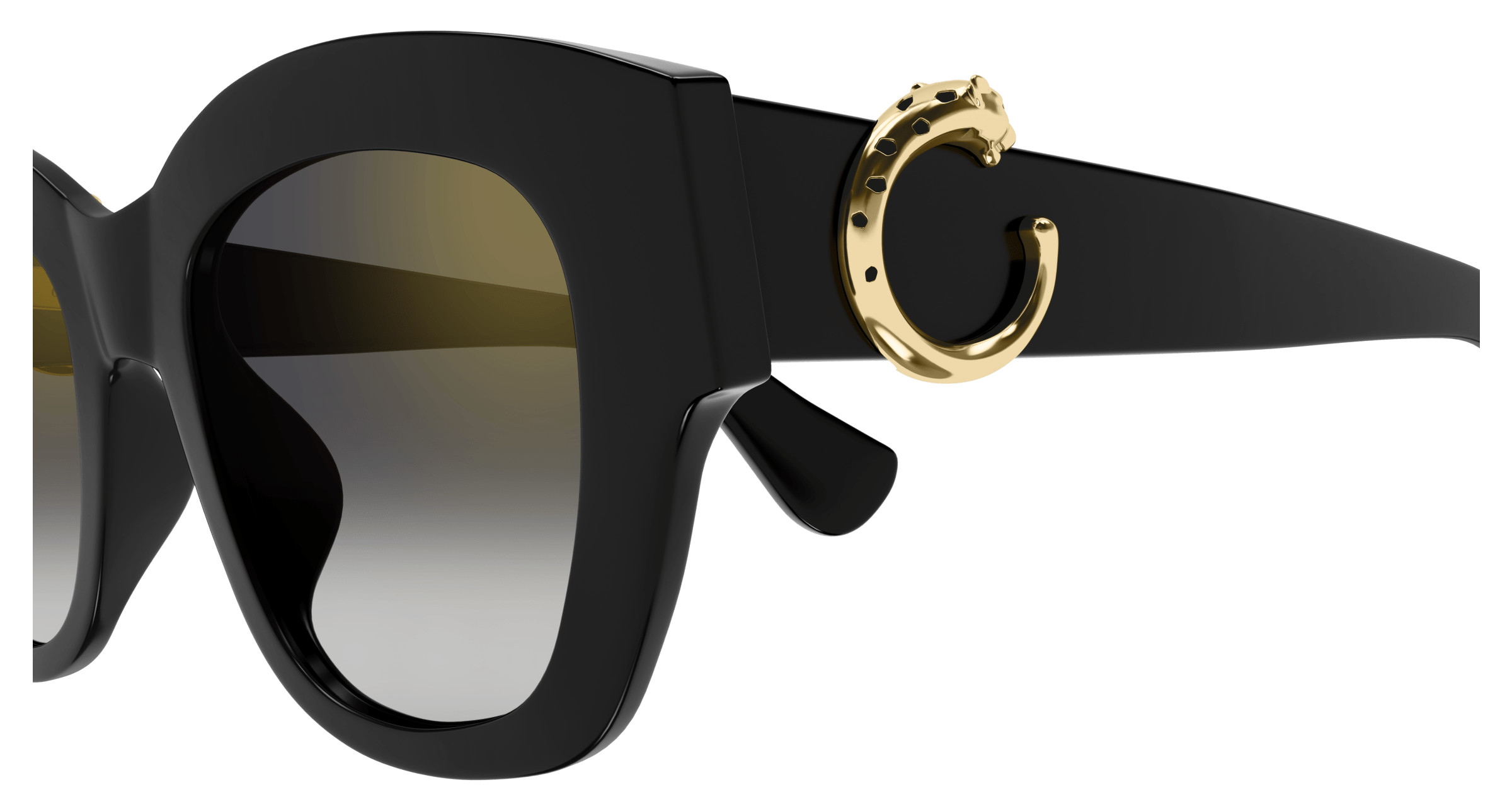 Cartier CT0547S-002 Sunglasses Havana Brown Acetate Cartier CT0547S Sunglasses | Free Shipping | Edward Beiner main image 4