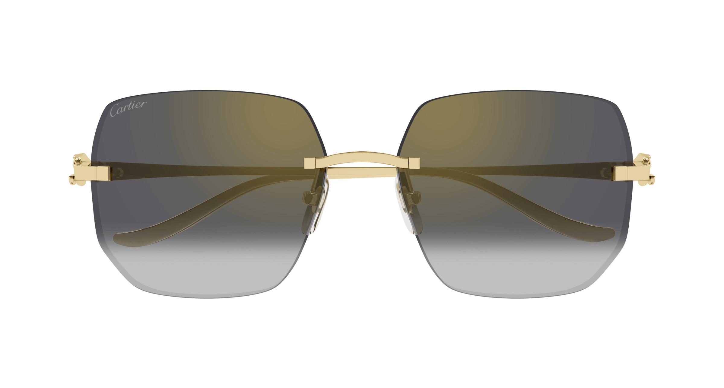 CT0549S Sunglasses - Cartier Authorized Retailer | coolframes.com