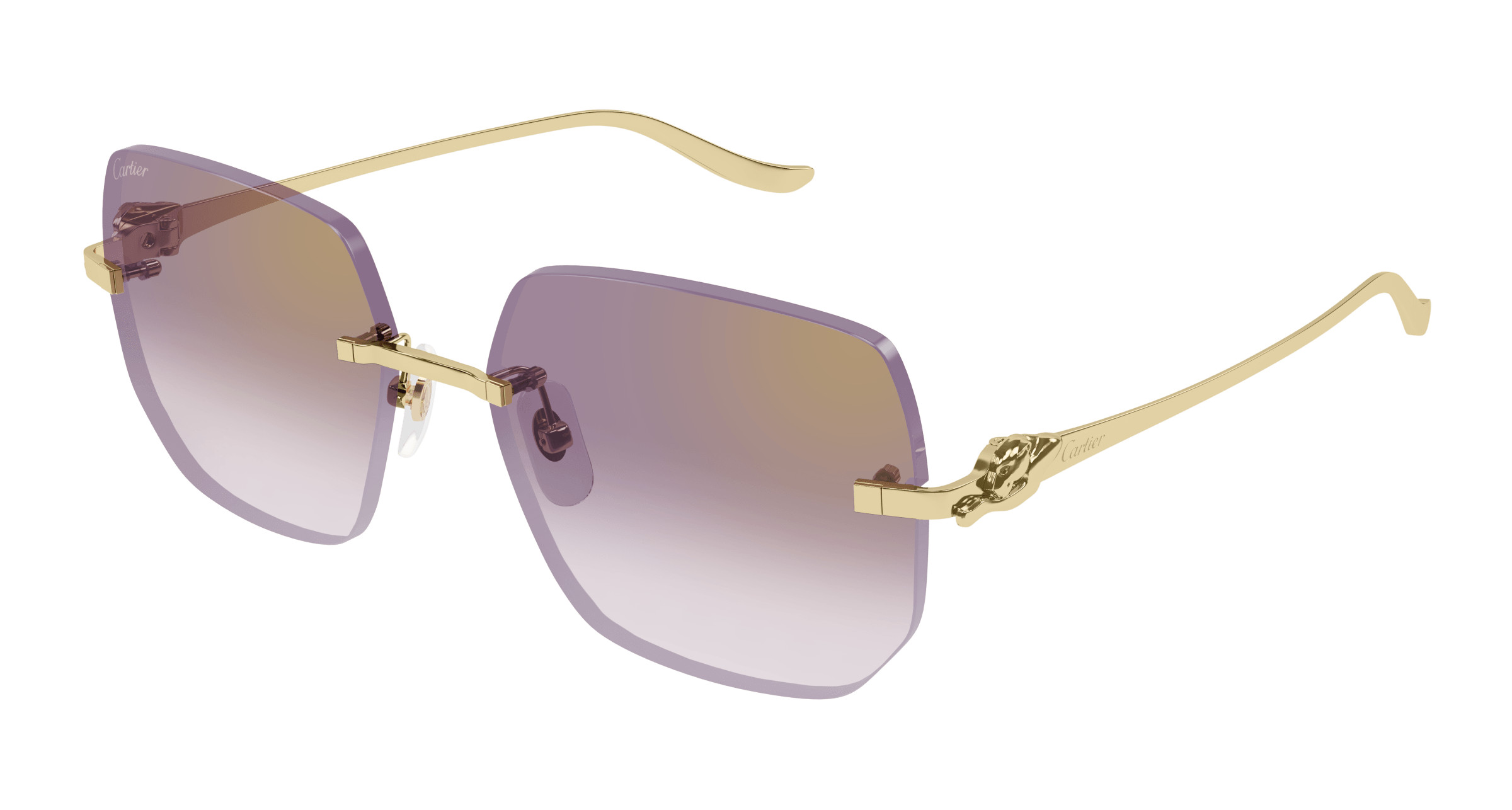 CT0549S Sunglasses - Cartier Authorized Retailer | coolframes.com