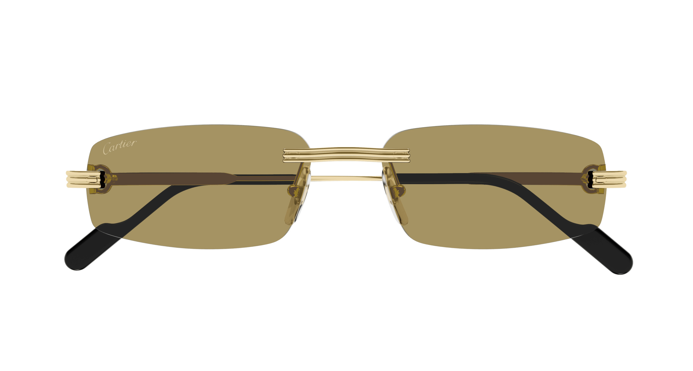 CT0535S Sunglasses - Cartier Authorized Retailer | coolframes.com