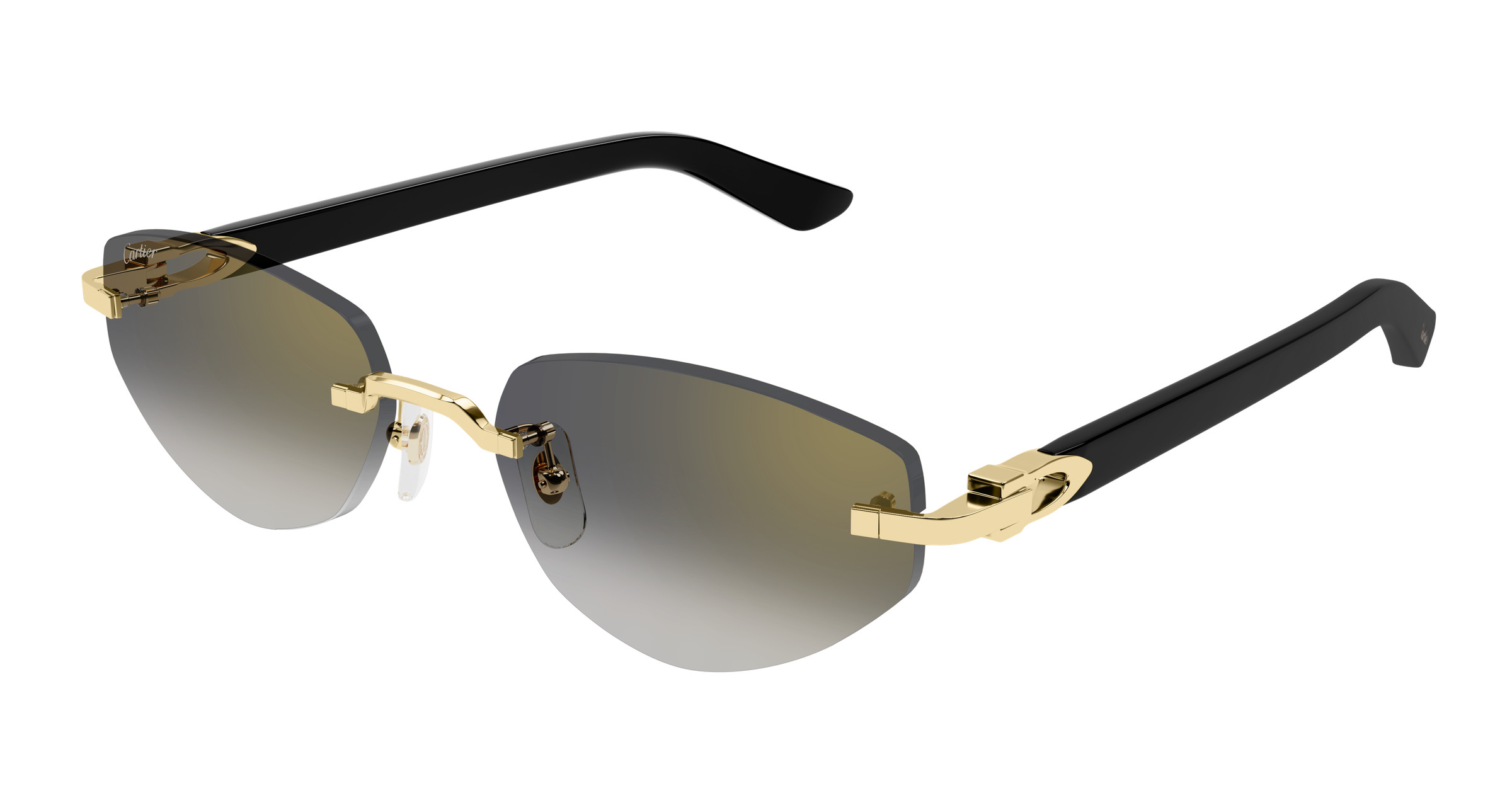 CT0580S Sunglasses - Cartier Authorized Retailer | coolframes.com