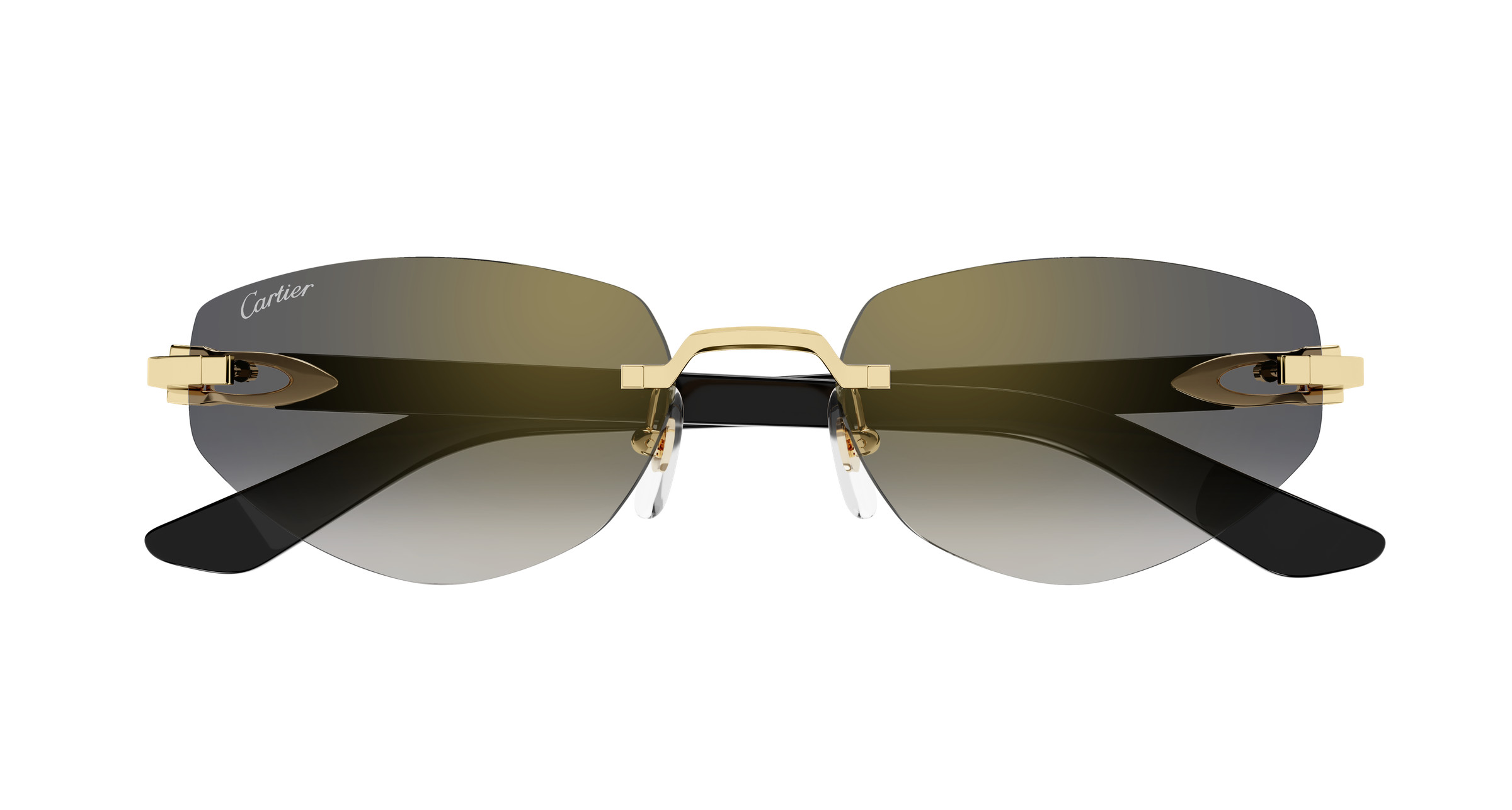 CT0580S Sunglasses - Cartier Authorized Retailer  display picture 3