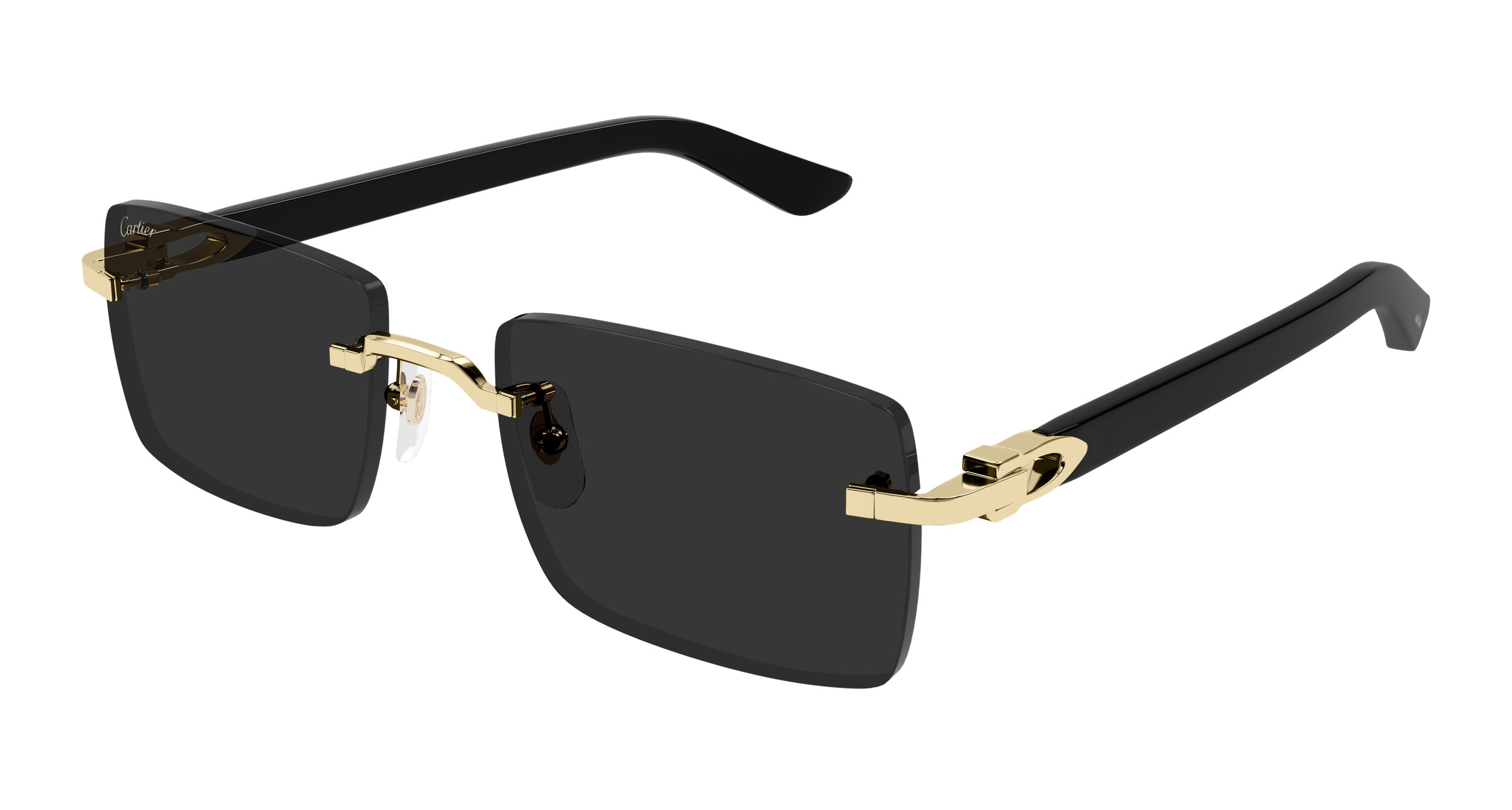 CT0579S Sunglasses - Cartier Authorized Retailer | coolframes.com