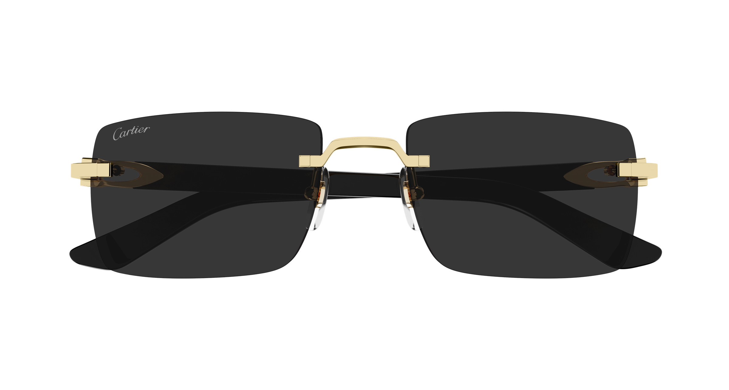 CT0579S Sunglasses - Cartier Authorized Retailer | coolframes.com