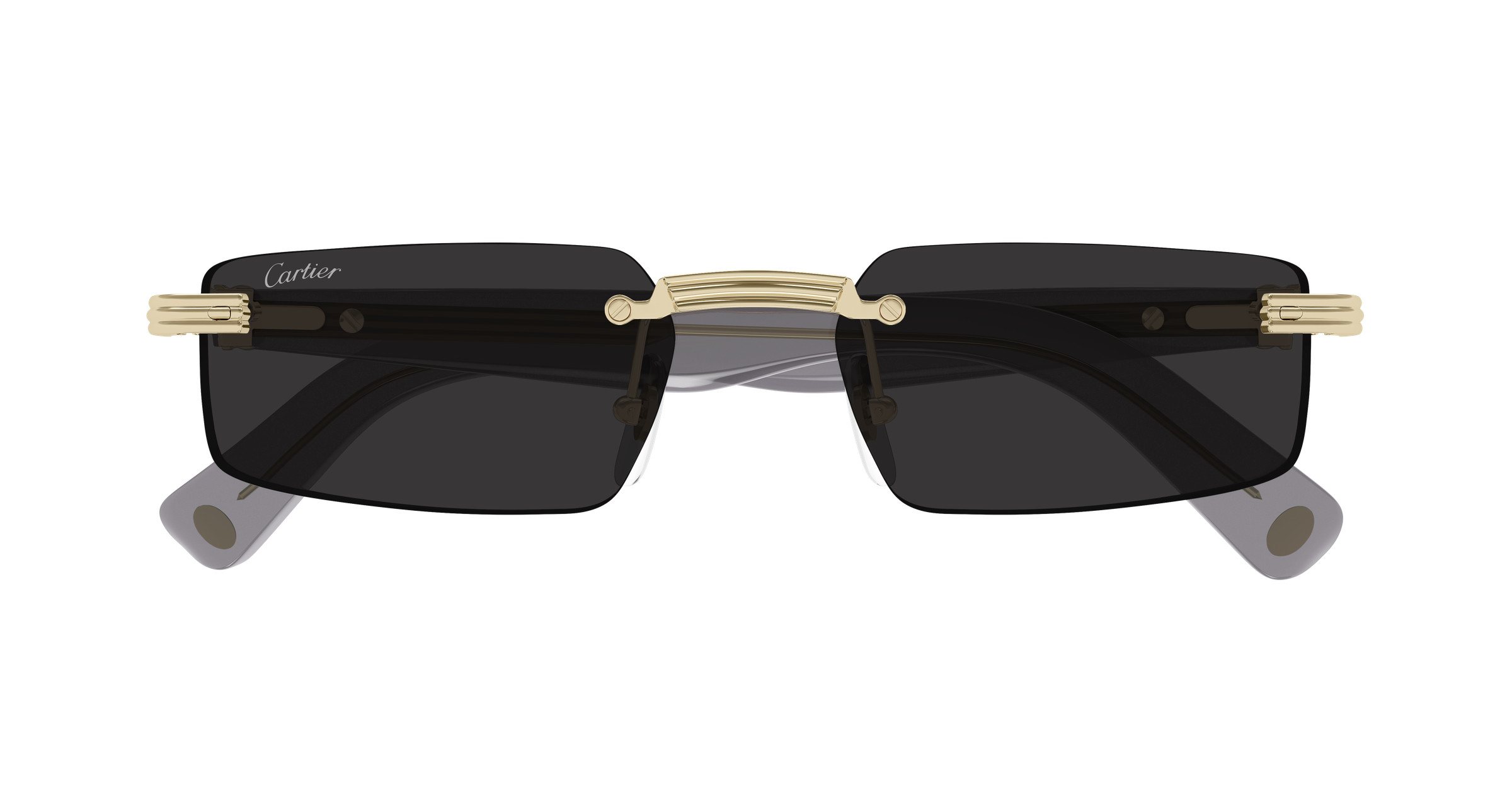 CT0537S Sunglasses - Cartier Authorized Retailer  display picture 1