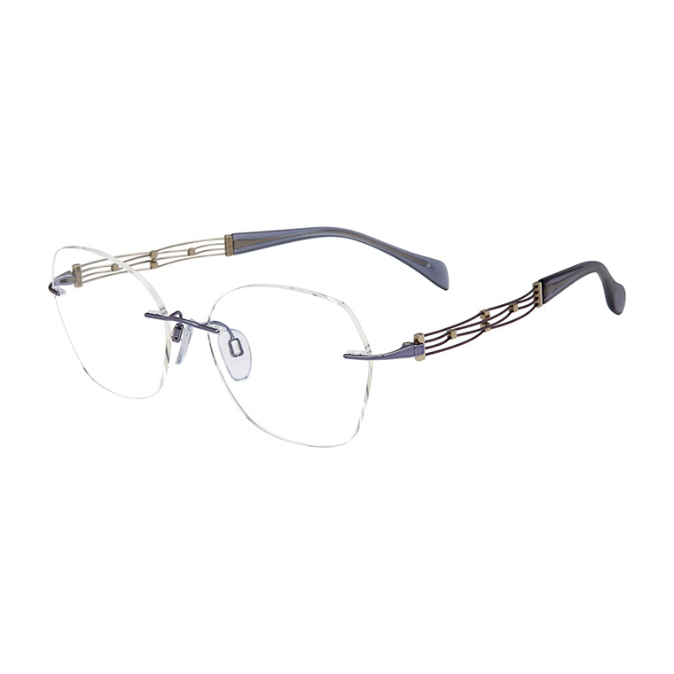 XL 2188 Eyeglasses - Charmant Authorized Retailer | coolframes.com
