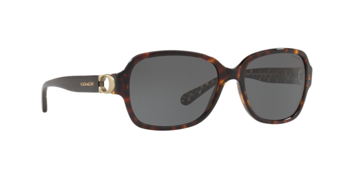 HC8241 L1031 Sunglasses - Coach Authorized Retailer  display picture 1