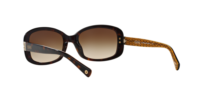 HC8003 LILLIAN Sunglasses - Coach Authorized Retailer | coolframes