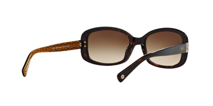 HC8003 LILLIAN Sunglasses - Coach Authorized Retailer | coolframes