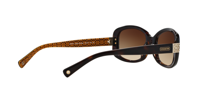 HC8003 LILLIAN Sunglasses - Coach Authorized Retailer  display picture 3