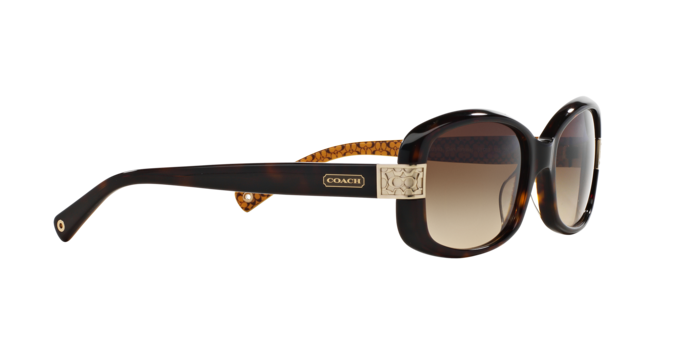 HC8003 LILLIAN Sunglasses - Coach Authorized Retailer  display picture 1