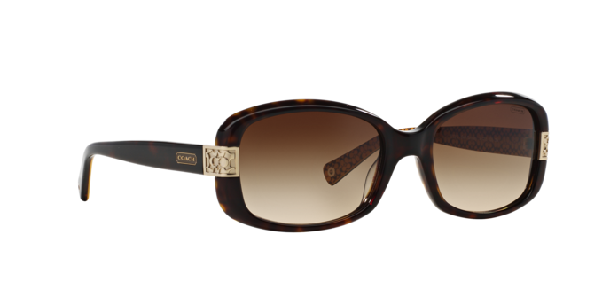 HC8003 LILLIAN Sunglasses - Coach Authorized Retailer | coolframes