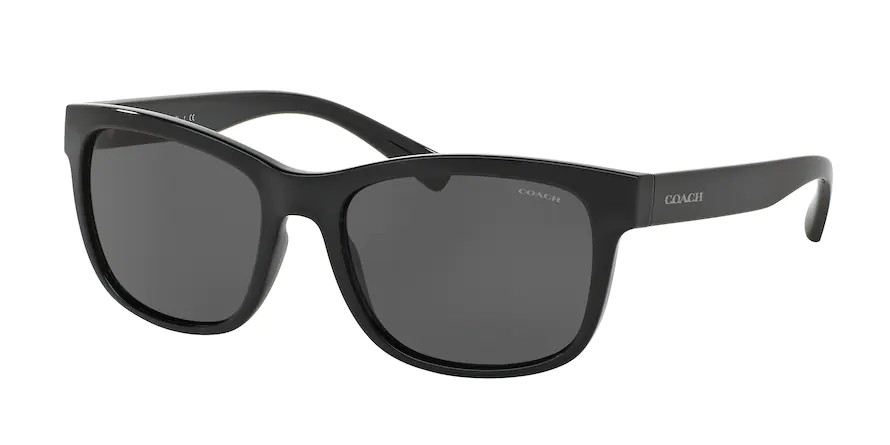 HC8212 L1641 Sunglasses - Coach Authorized Retailer | coolframes