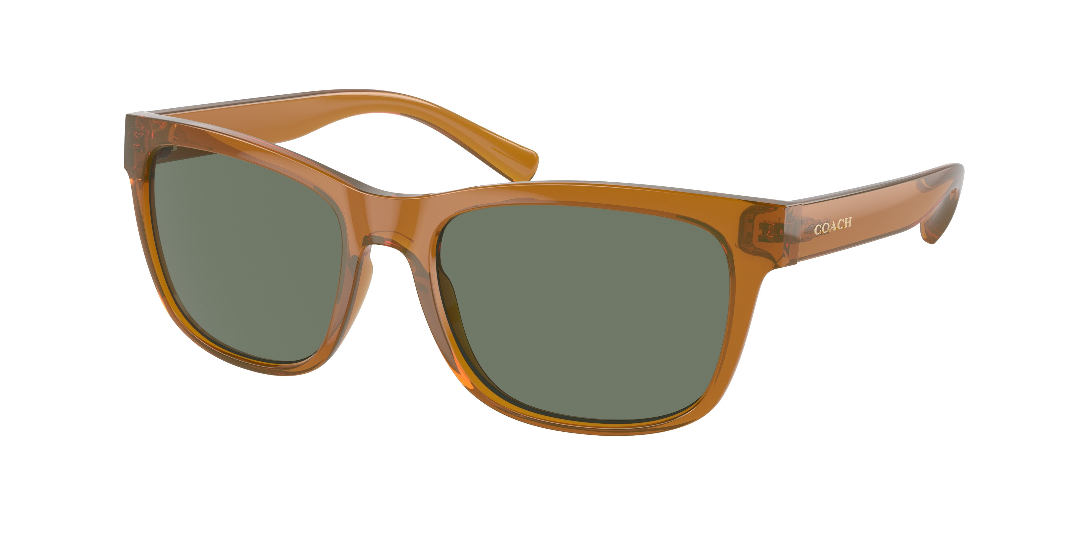 HC8212 L1641 Sunglasses - Coach Authorized Retailer | coolframes