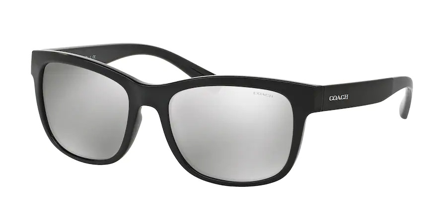 HC8212 L1641 Sunglasses - Coach Authorized Retailer | coolframes