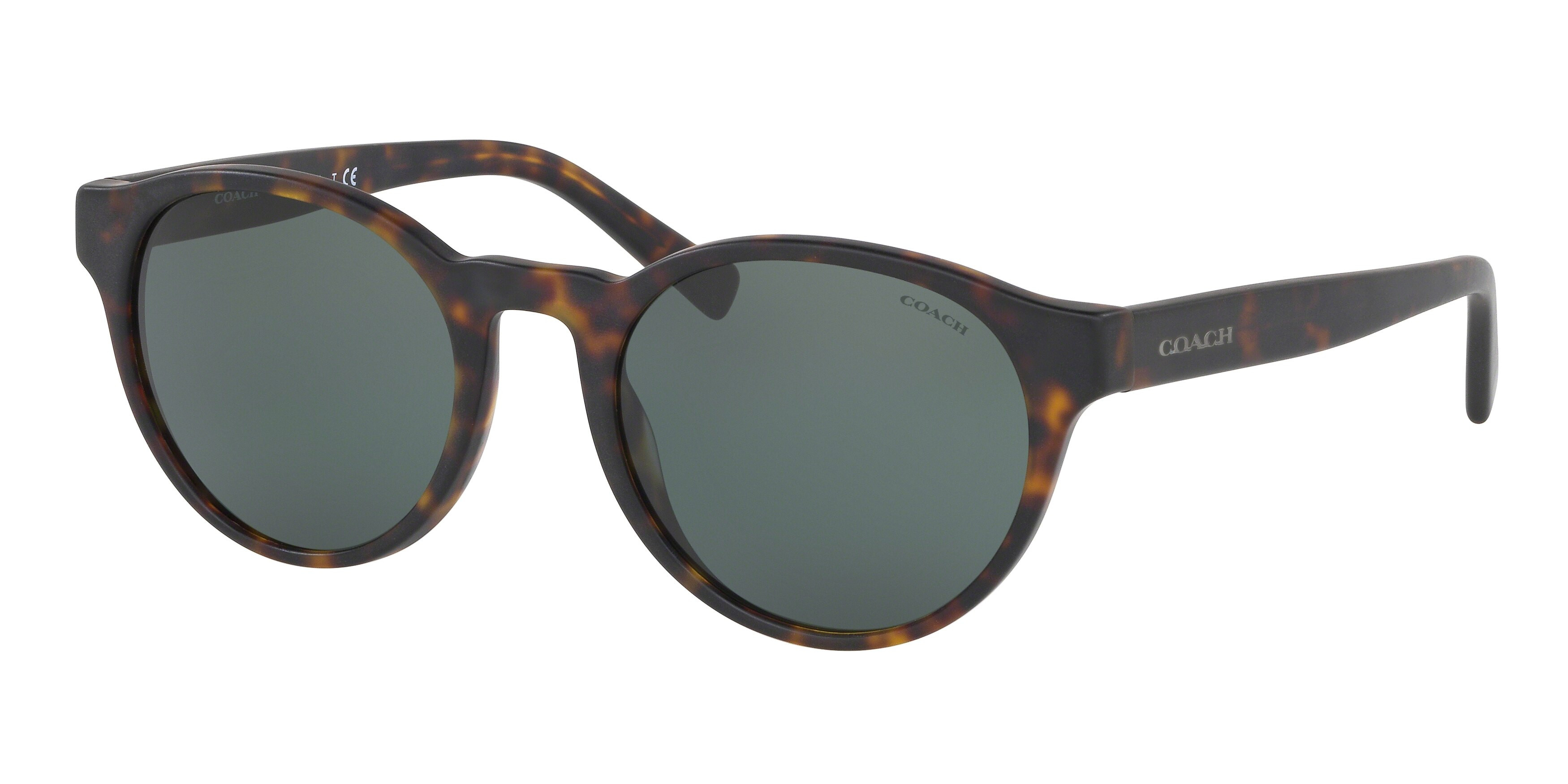 Coach HC8275 L1095 Transparent Blue Jay Sunglasses 55mm get_image_zoom.php?fid=299997 main image 3