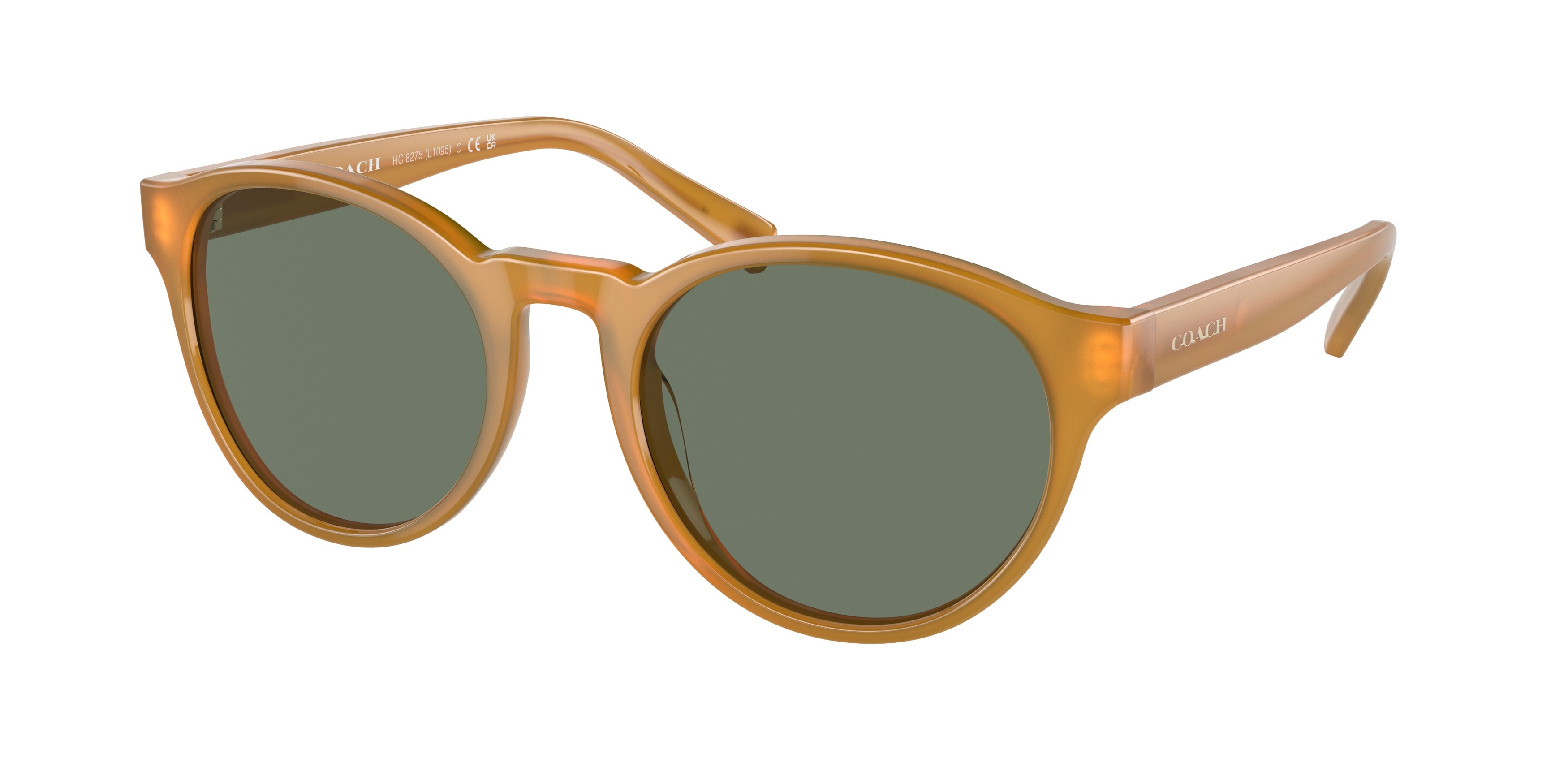 Coach HC8275 L1095 Transparent Blue Jay Sunglasses 55mm get_image_zoom.php?fid=299997 main image 4