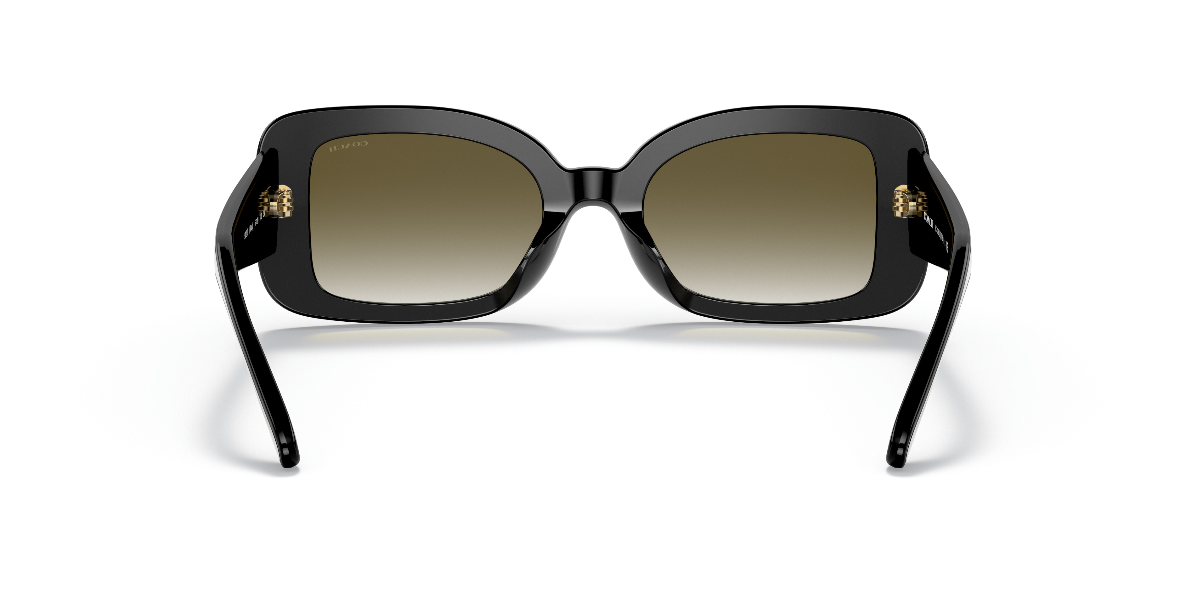 HC8336U C7988 Sunglasses - Coach Authorized Retailer | coolframes