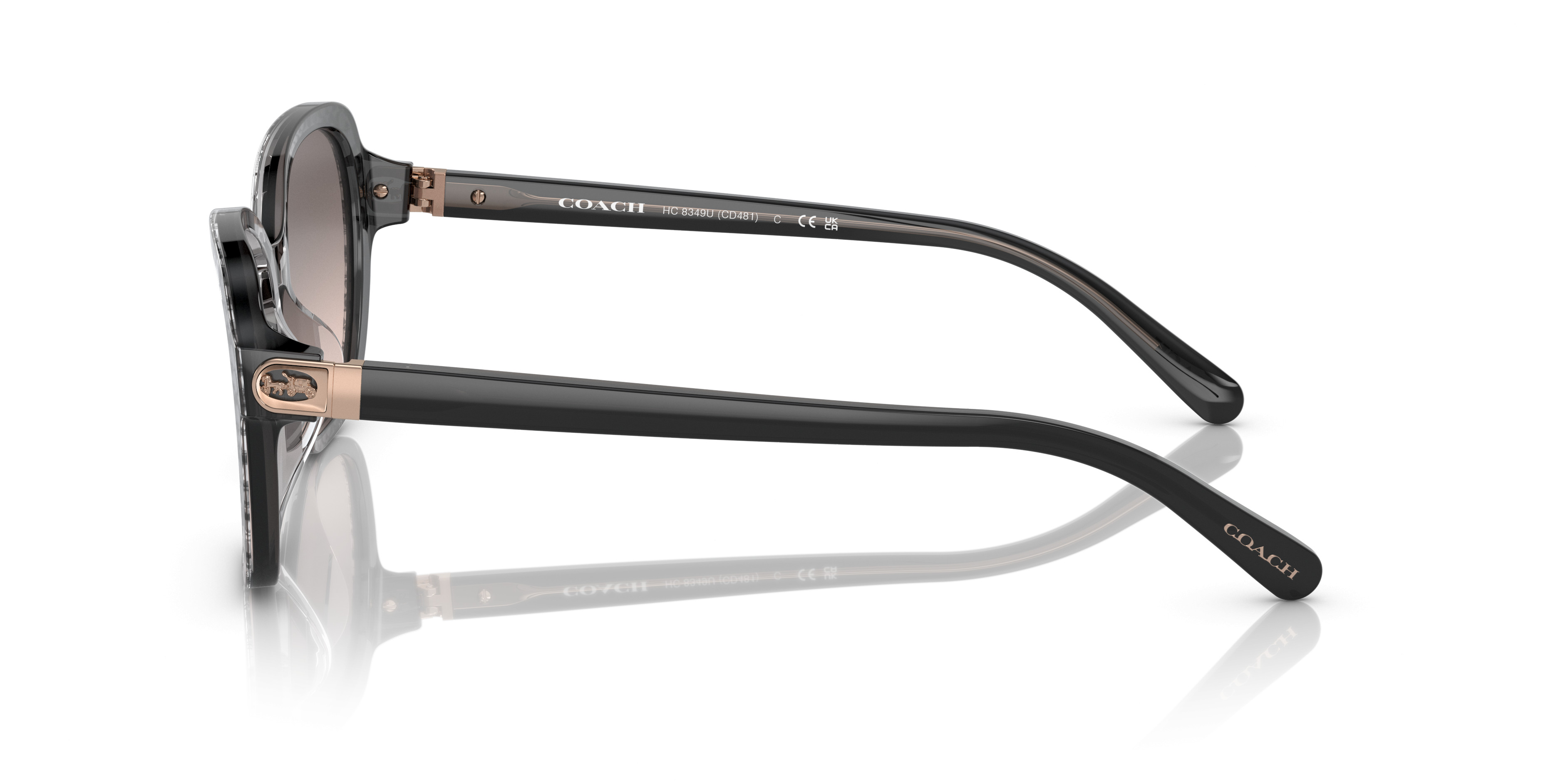 HC8349U CD481 Sunglasses - Coach Authorized Retailer | coolframes